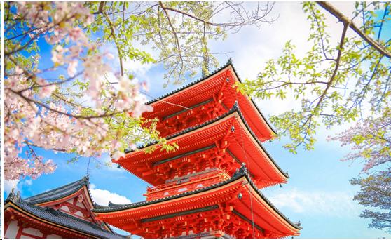 来到日本不能错过章鱼小丸子,来东京不能错过的地方