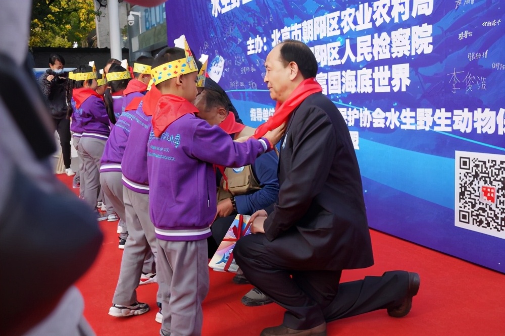 守护海洋的行动有哪些,守护海洋生物活动