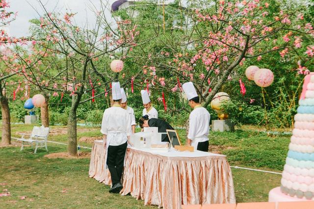 广州南沙百万葵园,广州百万葵园景点图片大全