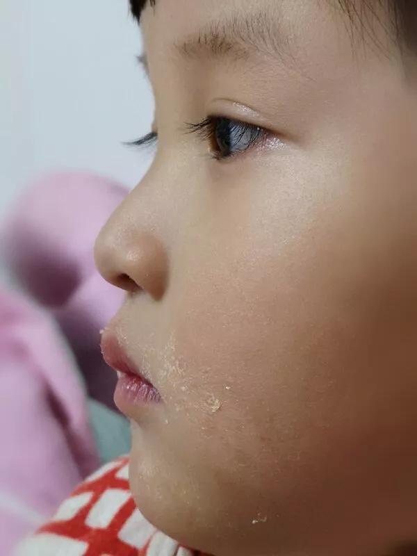 手拍世界,手拍世界近期作品