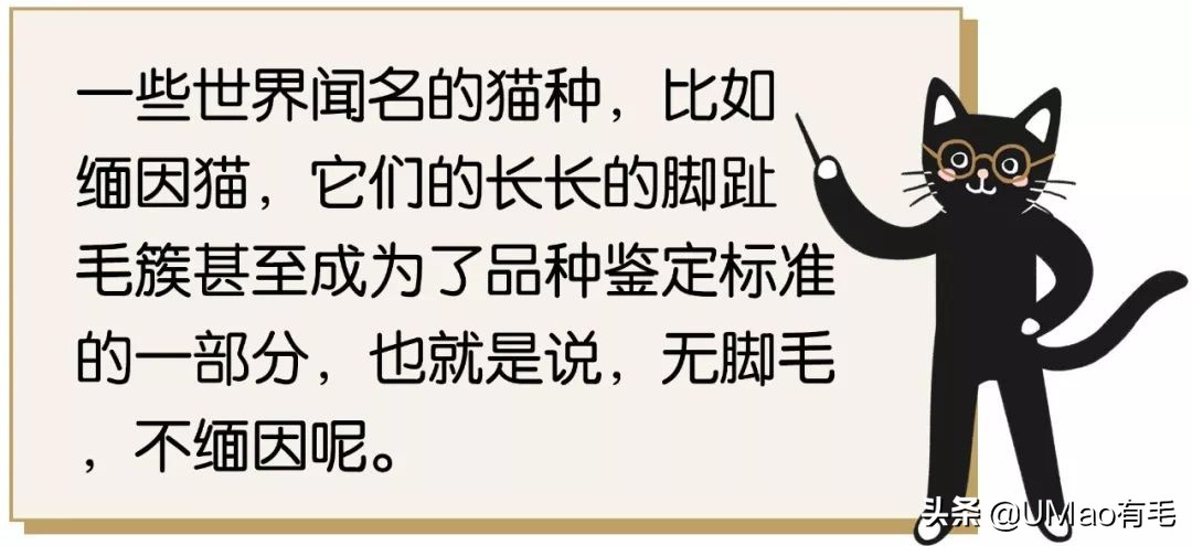 脚毛太长要刮掉吗,脚毛太长了能不能刮