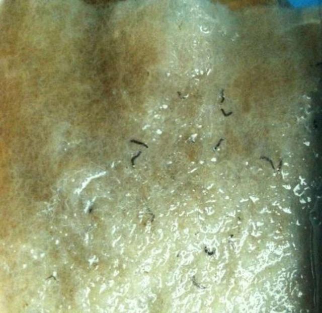 鱼缸水上面很多泡沫是什么原因,鱼缸里下了土霉素好多泡沫怎么办