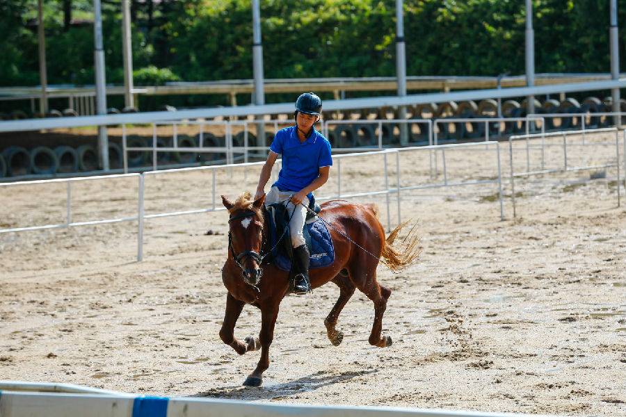 世界花卉大观园遛娃好去处,大观园遛娃攻略