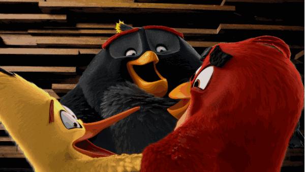 气候变暖鸟类变大的原因,为什么鸟到冬天就变得胖