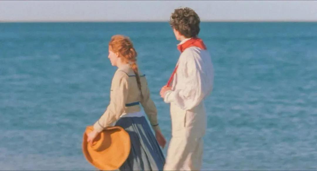 运营小红书半年收获,运营小红书一定要用的5个平台