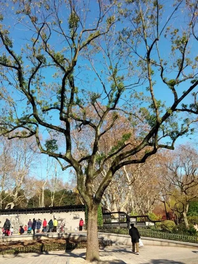 鲁讯公园的湛蓝色天空