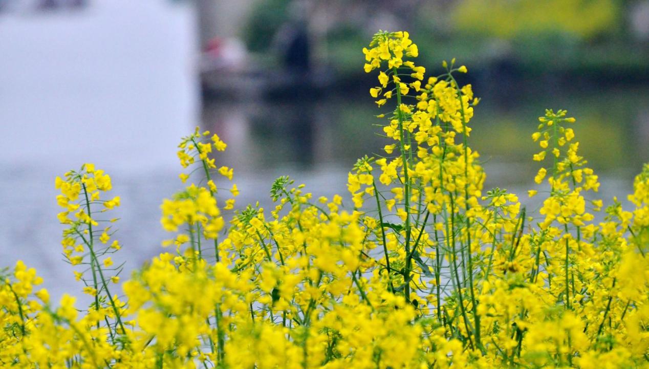 沈阳周边城市的森林公园,沈阳打卡景点公园