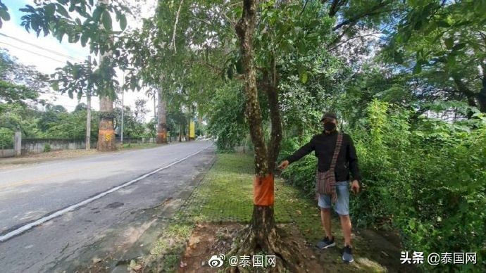 当街*战野**拍淫秽视频震怒神明？泰国情侣被逮捕