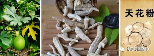 中药饮片独角牛别名,中药饮片大芸的别名