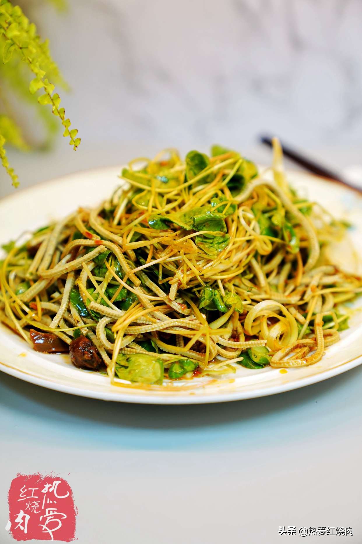 冬季如何撒种子种菜,冬季小花盆里可以种的菜