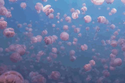 比马尔代夫更美的国家,比马尔代夫还美丽