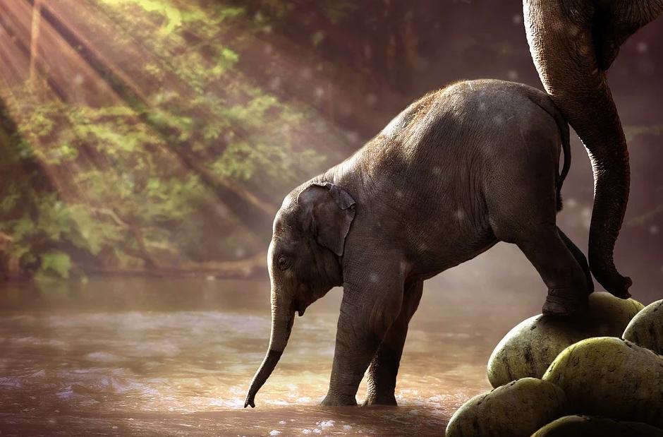 为同学代购水收服务费1毛：养出有主见的孩子，父母多幸福