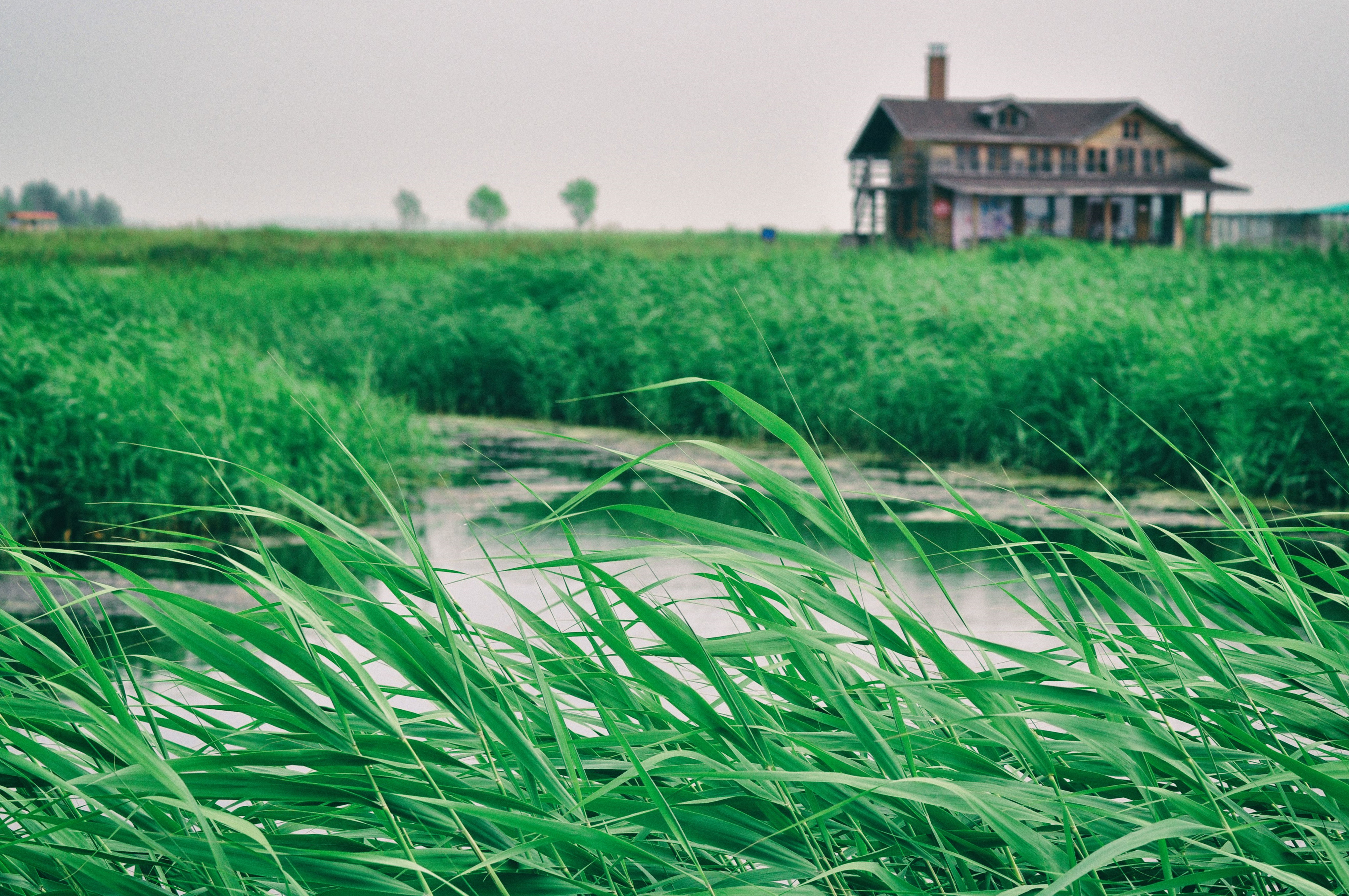 东北边疆,东北行游记2019