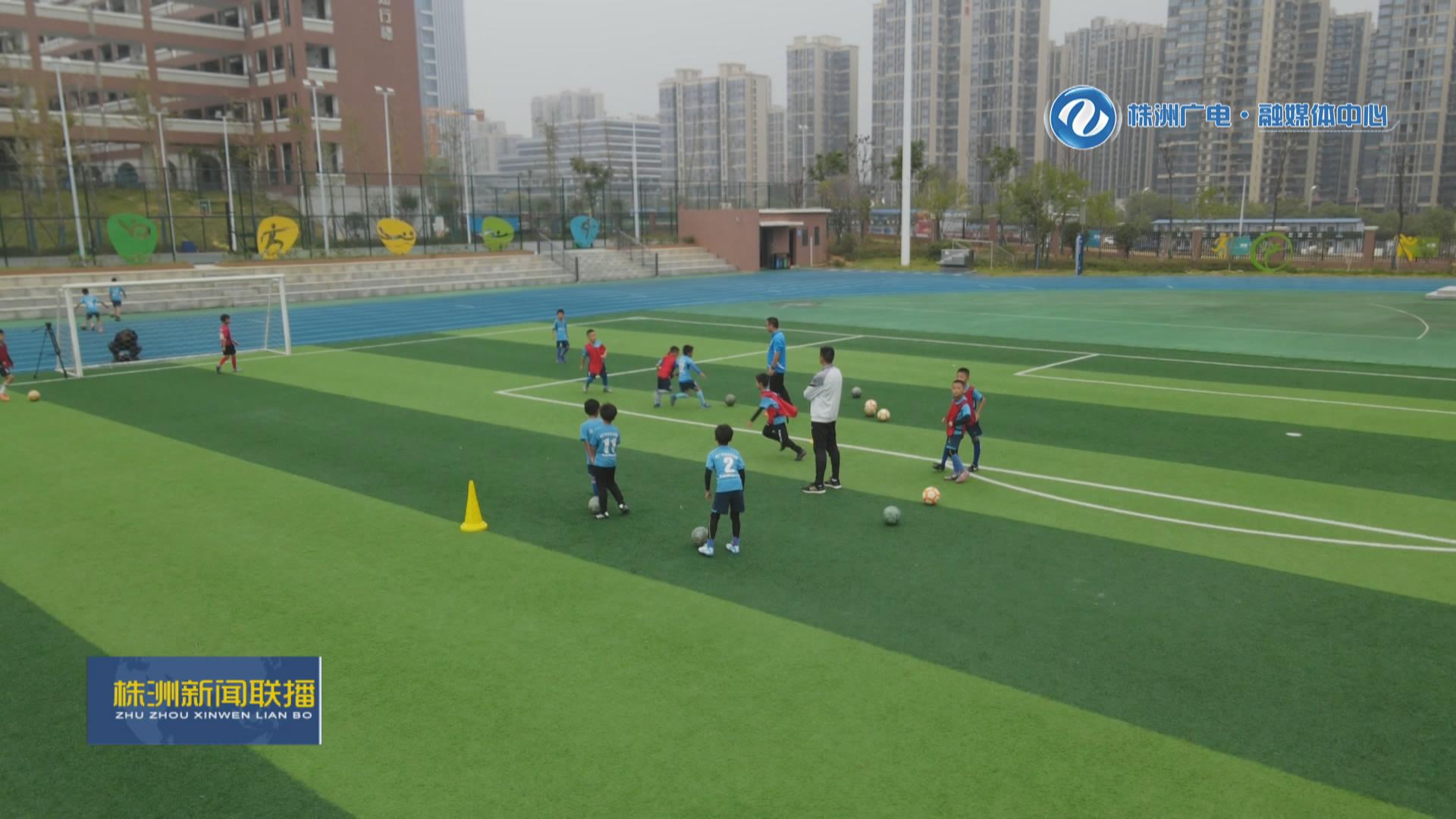 株洲体育特色学校排名,株洲市有哪些院校