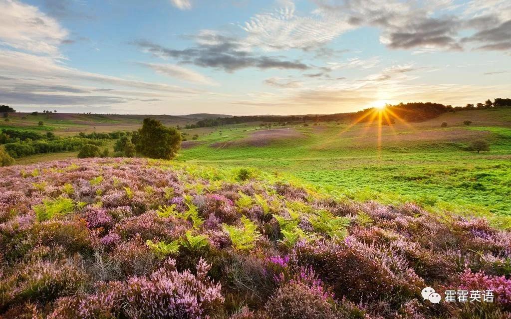 无灵主语句的翻译技巧,无灵主语句的简单例子