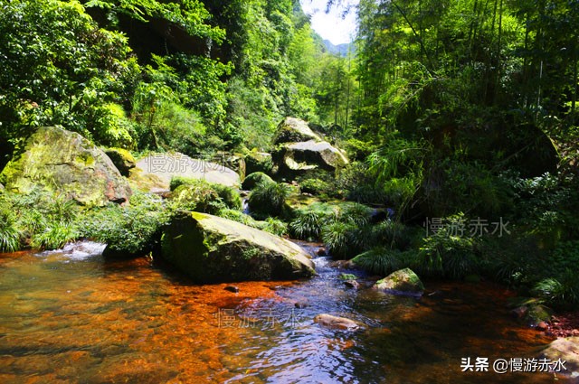 无人区普洱茶是哪个茶区,无人区茶叶