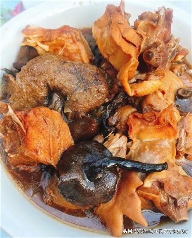 梨木台景林农家院,梨木台景林农家院直播