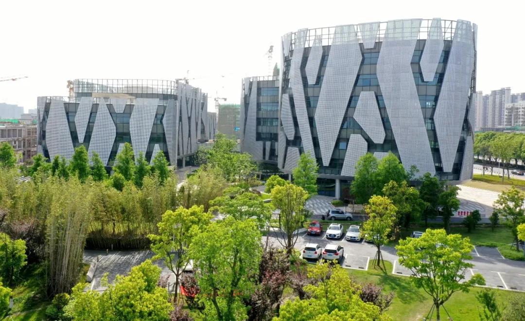 包邮区别争了，网红顶流在浙江