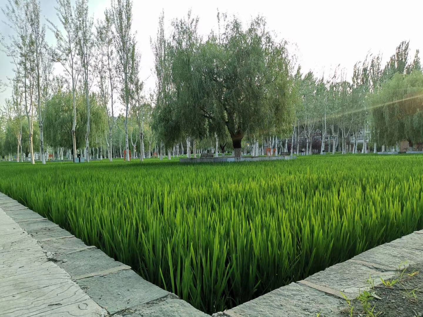 沈阳建筑大学|东北的一所另类大学