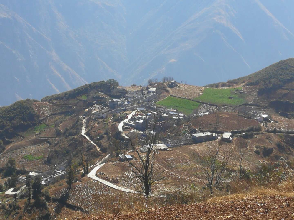 四川会东大梨树村,会东松坪镇大梨树村