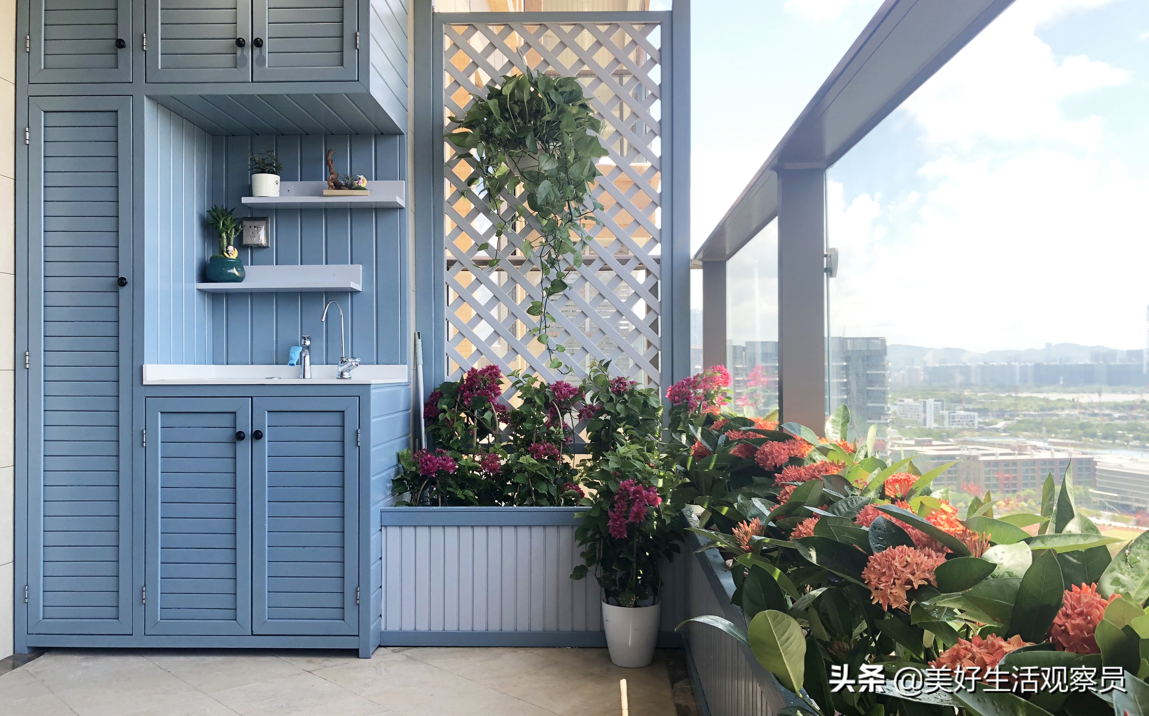 家居阳台绿植花卉,阳台绿植省钱小妙招