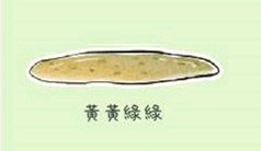 铲屎官的呕吐,狗狗呕吐铲屎官该怎么办