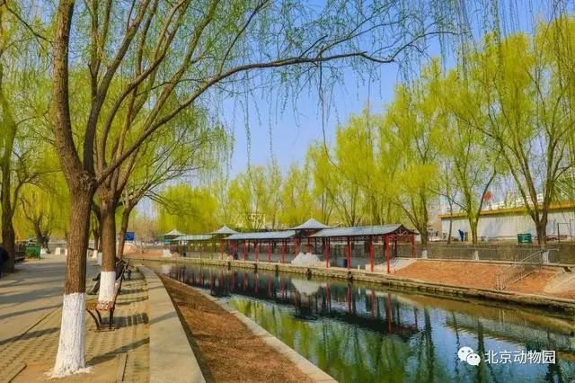 北京动物园园林介绍,北京动物园全景简介