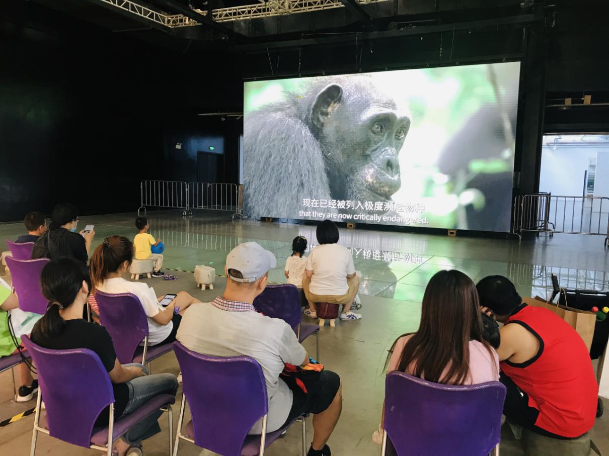 宠爱嘉年华小视频,宠爱嘉年华