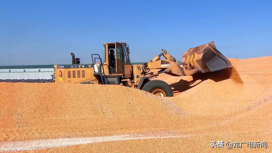 宝清招商有“三宝”：资源、政策、服务好