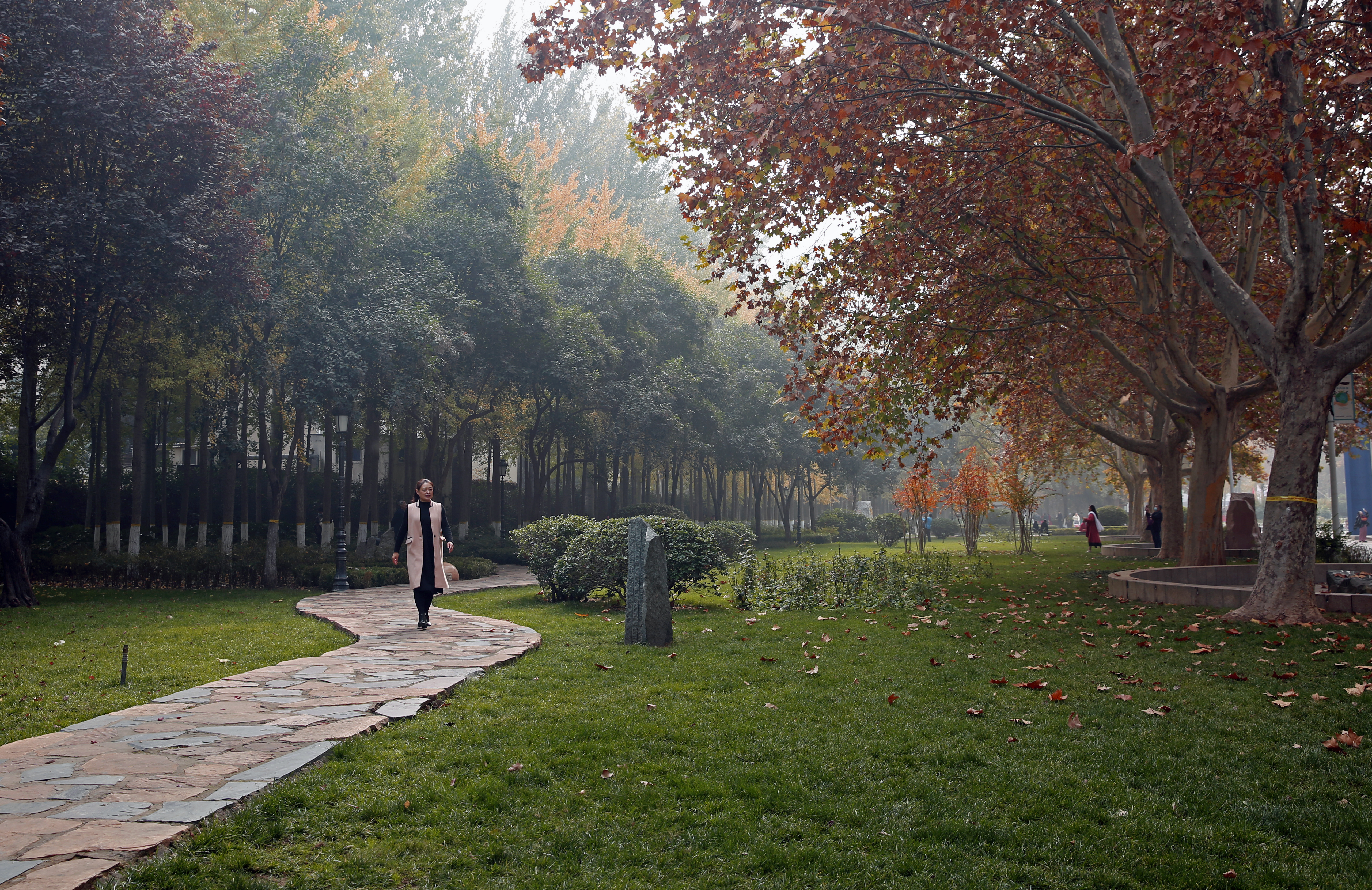 问景,问景的意思