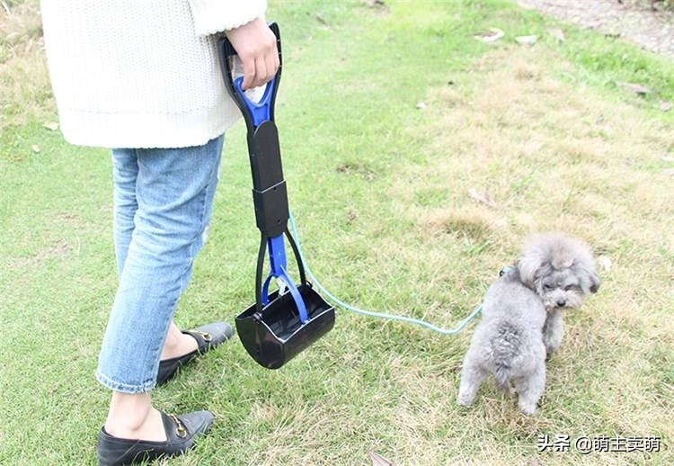 狗狗一天拉几次大便为正常,狗狗正常一天拉几次便便