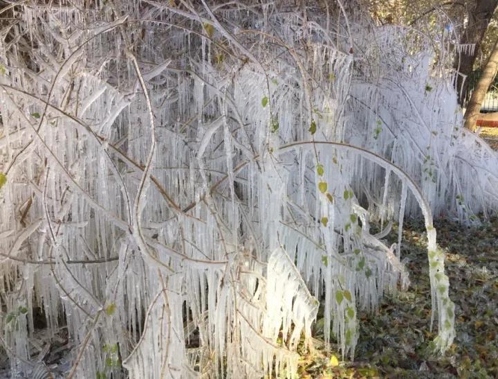 此生必去看一次雾凇太美了,此生必去看一次雾凇简直要美哭了