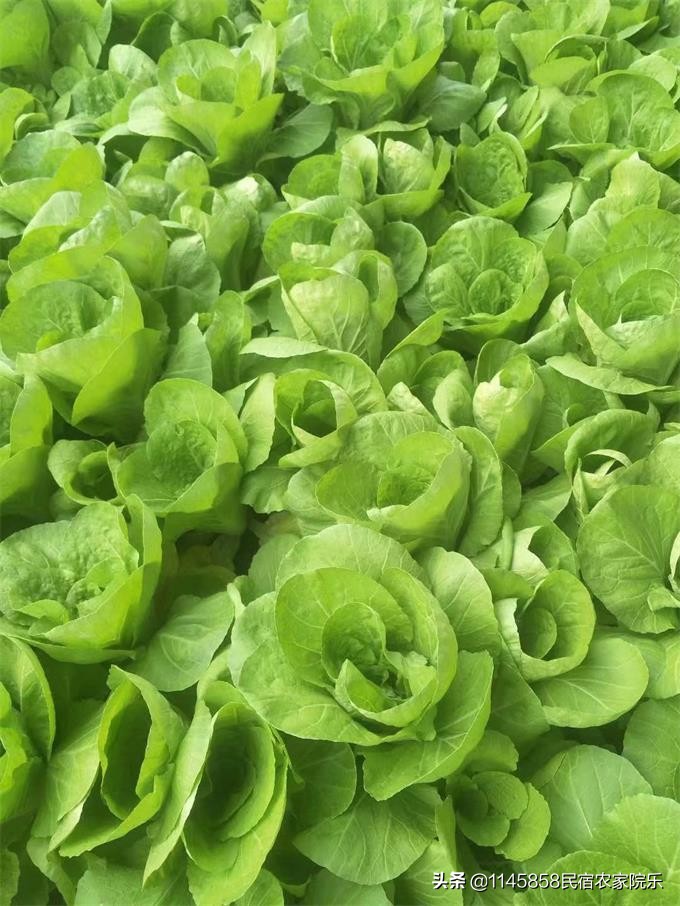 蓟县盘山玉环山庄,玉环山庄农家院