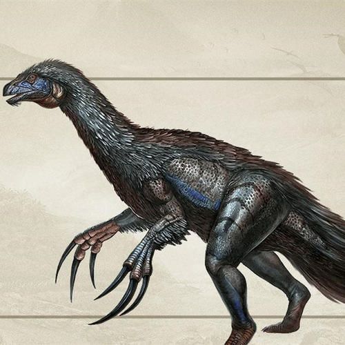 白垩纪有哪些吃草的恐龙比较厉害,什么恐龙吃肉吃草是杂食性恐龙