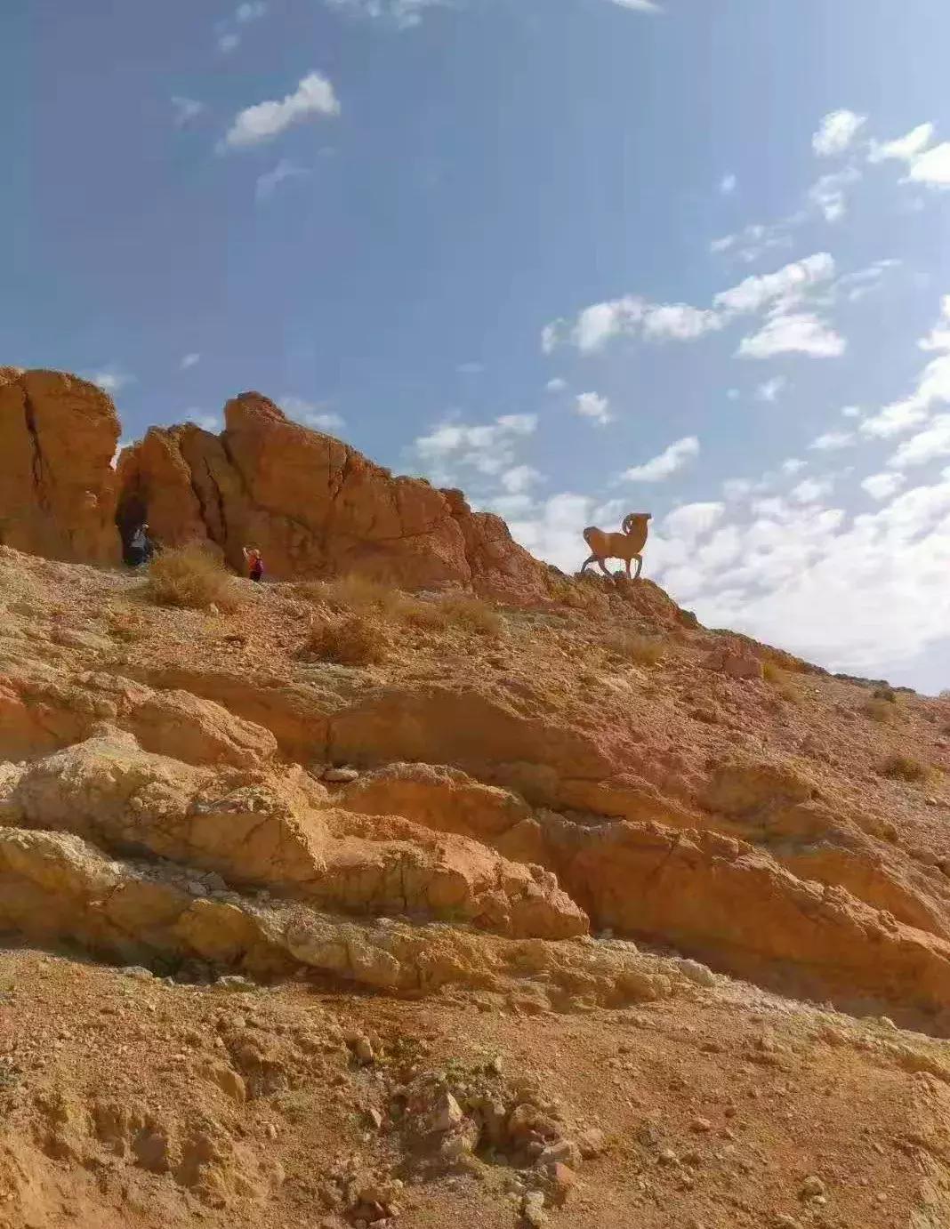 突尼斯是不是地中海,突尼斯一半沙漠