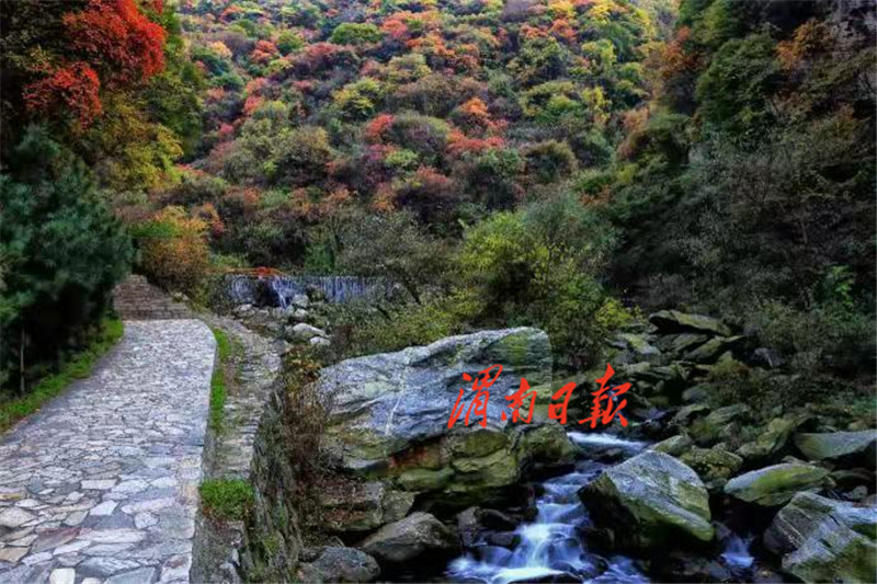 约吗？看红叶，我在少华山等你