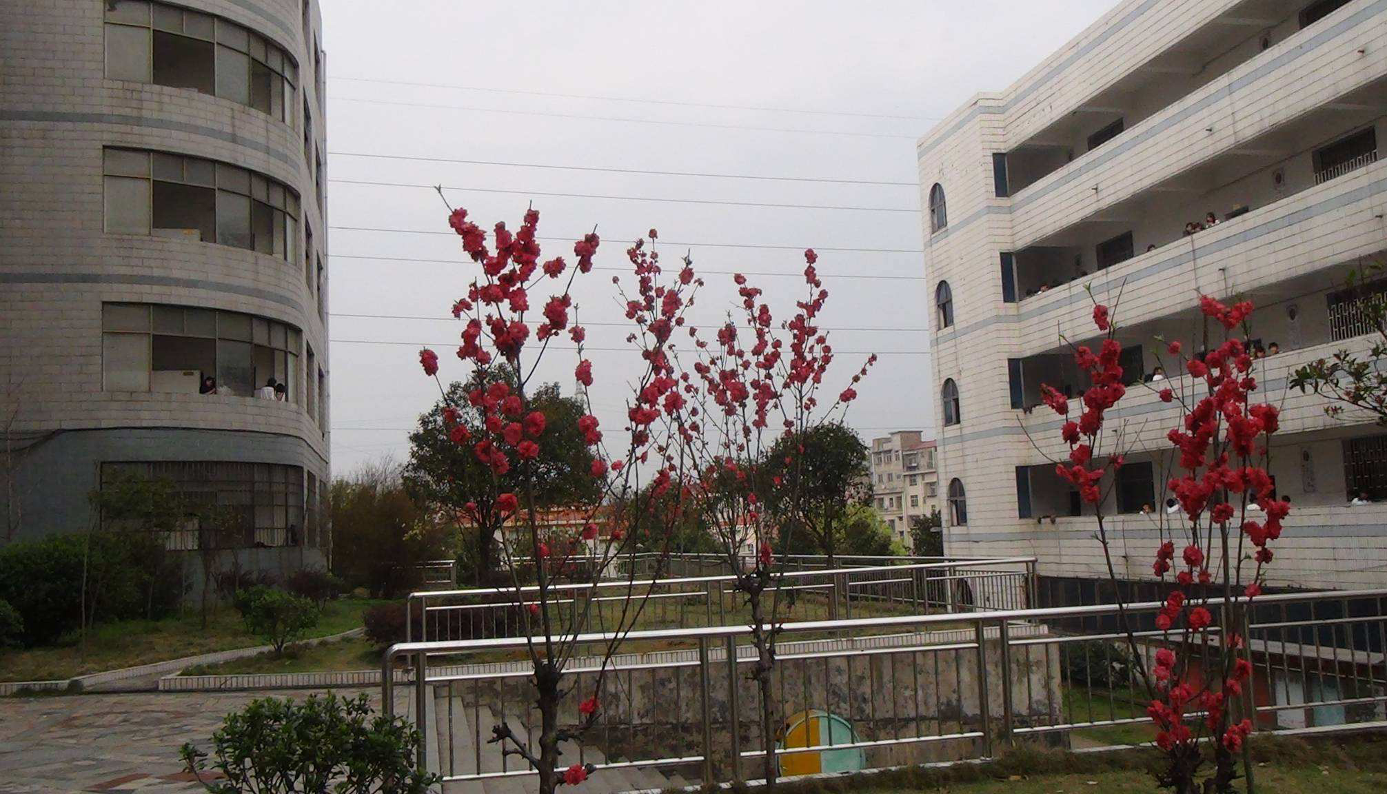 郴州重点高中真实排名,郴州最好的高中是哪个学校