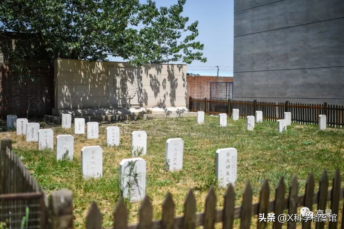 云南缉毒犬查获毒品,云南昆明缉毒犬的训练