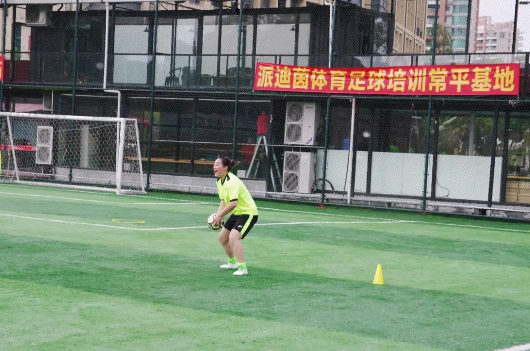 派迪茵体育股份有限公司,派迪茵体育有限公司