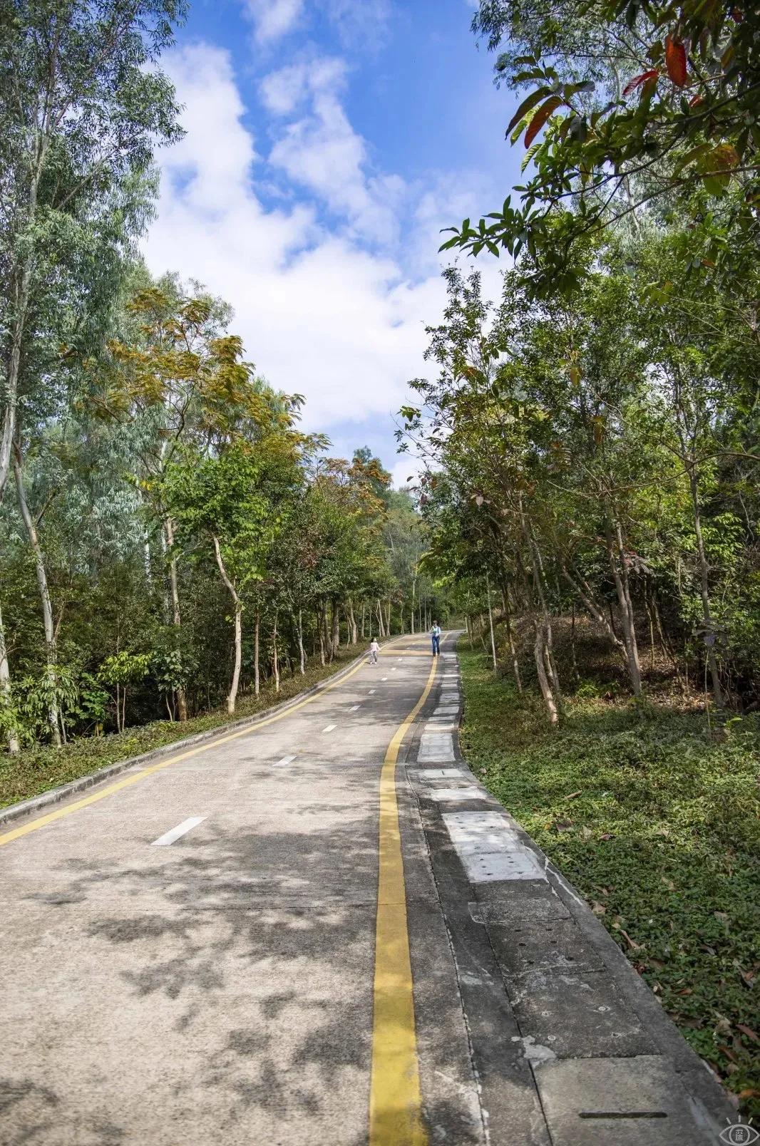 4号线值得逛的地方,9号线有什么地方可以玩