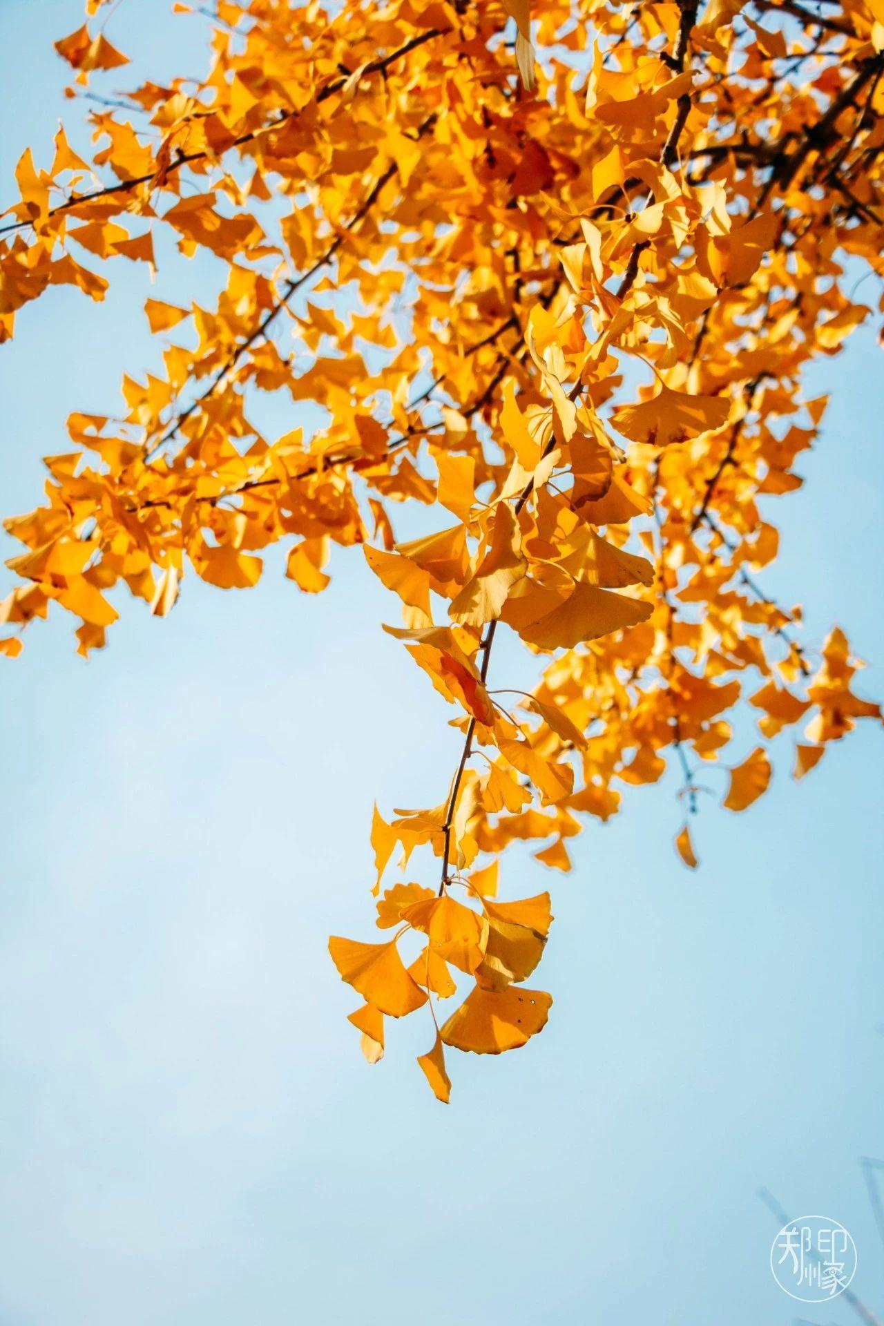 娴庡崡骞寸粓鎬荤粨鎶ュ憡,鍚堣偉骞寸粓鎬荤粨鎶ュ憡