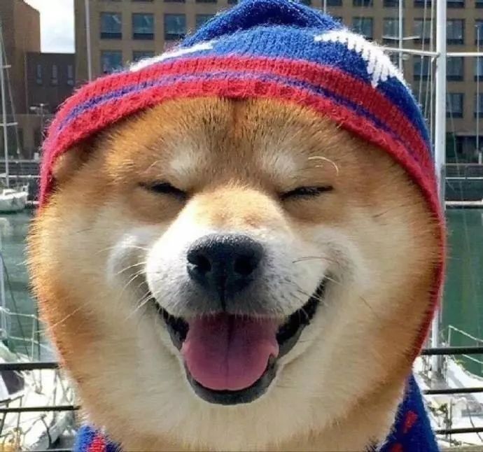 behance璁捐缃戠珯,鍥藉璁捐缃戠珯behance