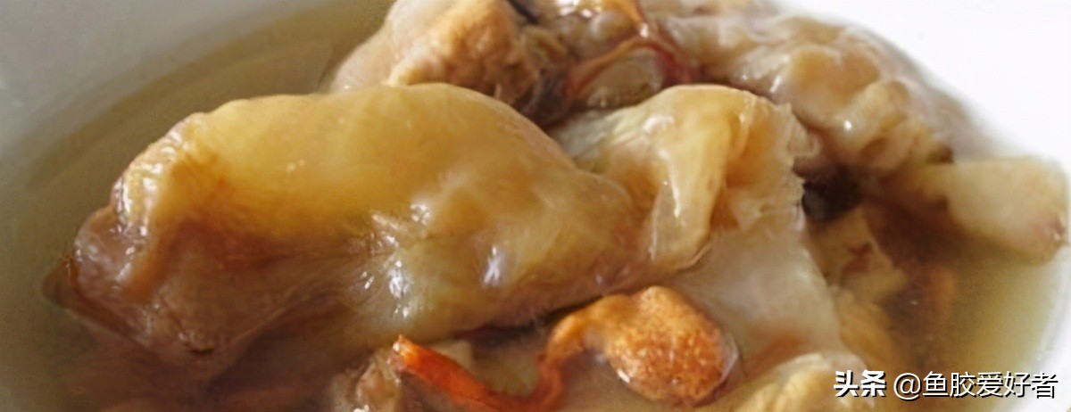 鱼胶正确的泡发方法和做法,顺德鲮鱼鱼胶的做法视频