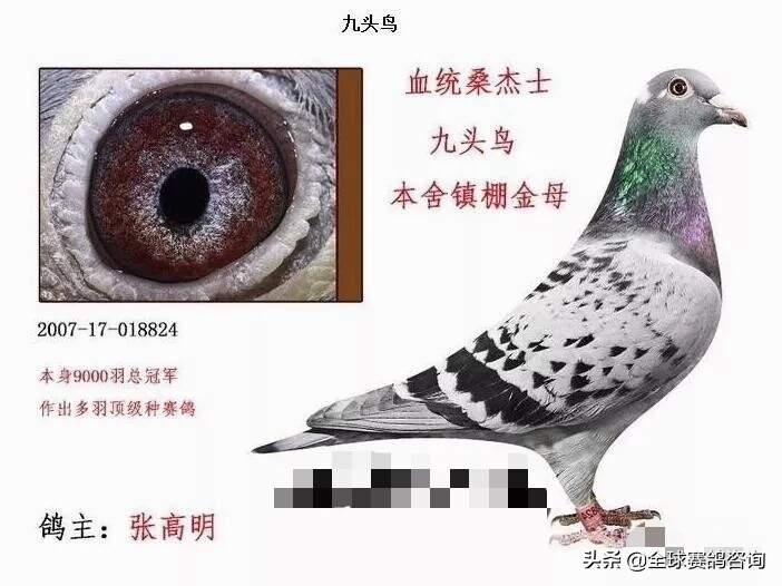 从一名普通工人干到厂长,从一个打工仔成为亿万富翁