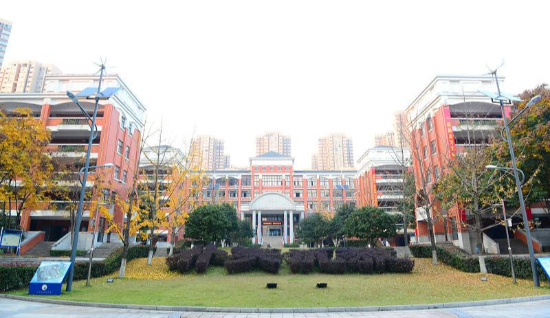 长郡中学家族谱系,长郡家族谱系对照表