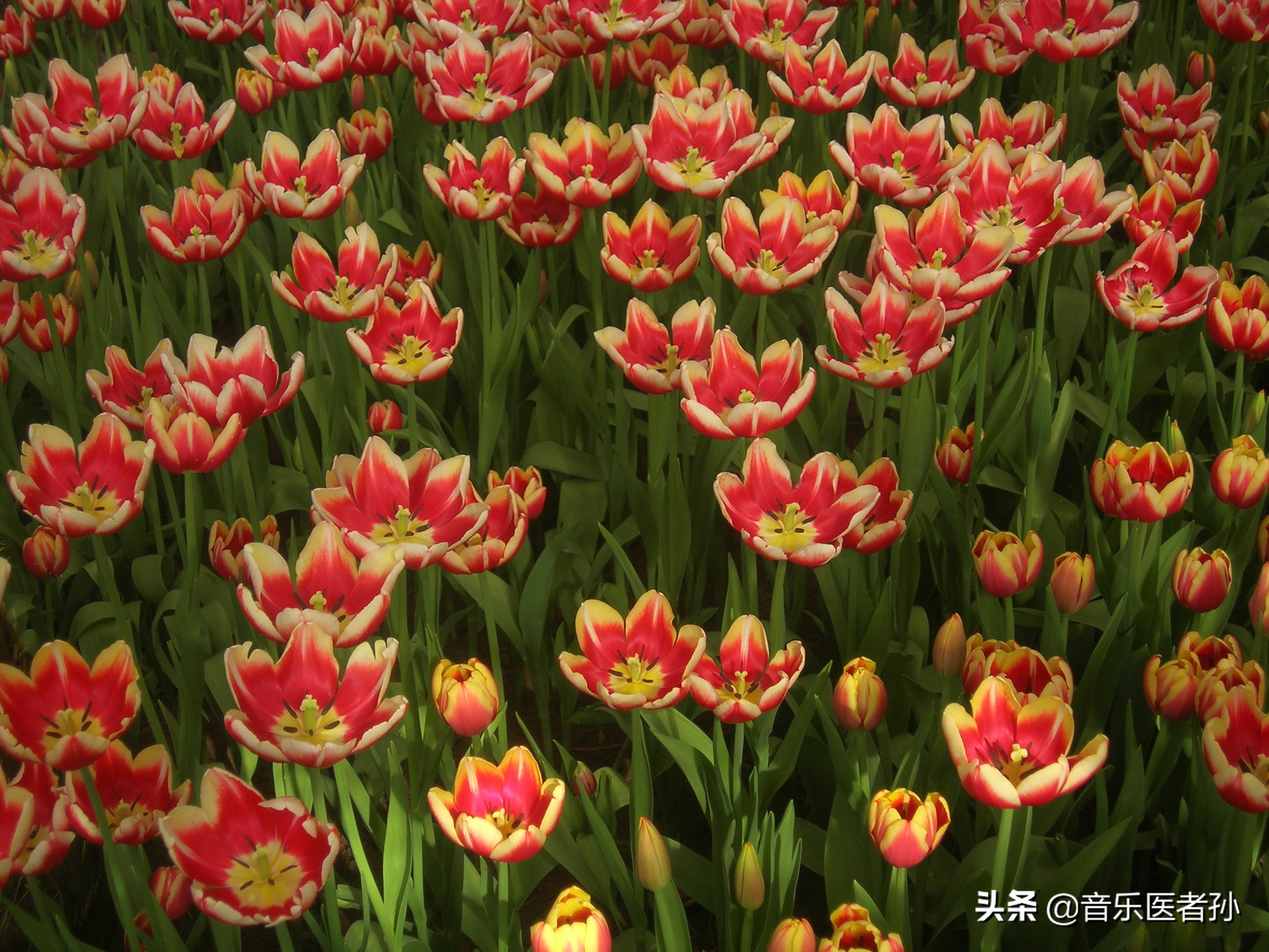 第一次听到消息知道自己的病情,第一次听到自己得癌症的反应