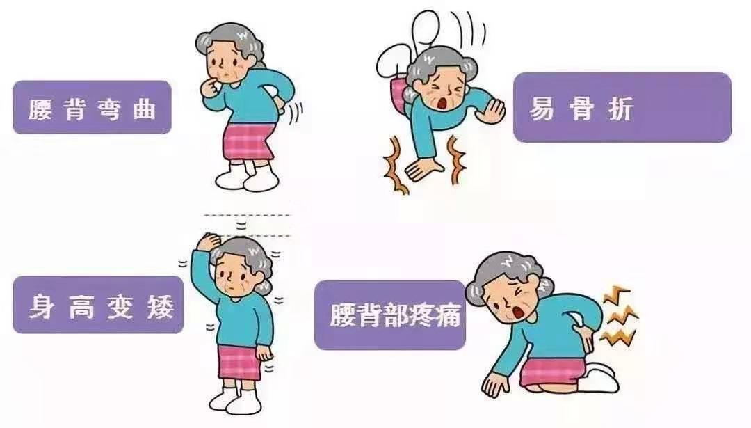 你的骨头也会变胖吗,你的骨头变化