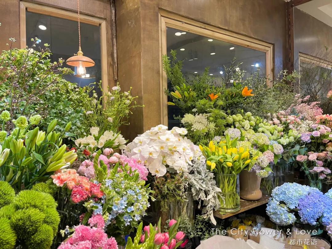 都市花语门票多少钱,都市花语免费阅读