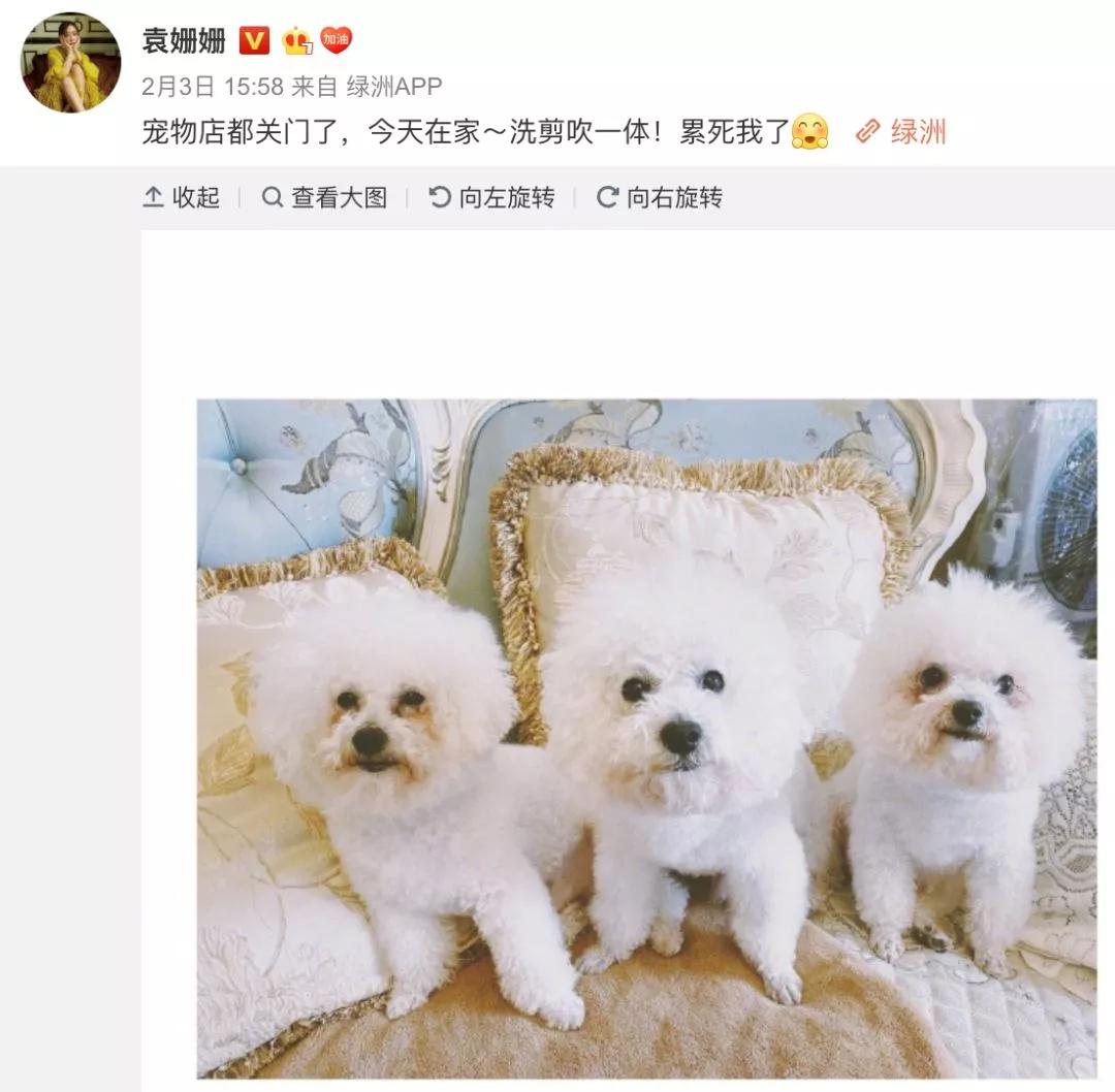 章子怡评李佳琦完整版,章子怡评价李佳琦完整版