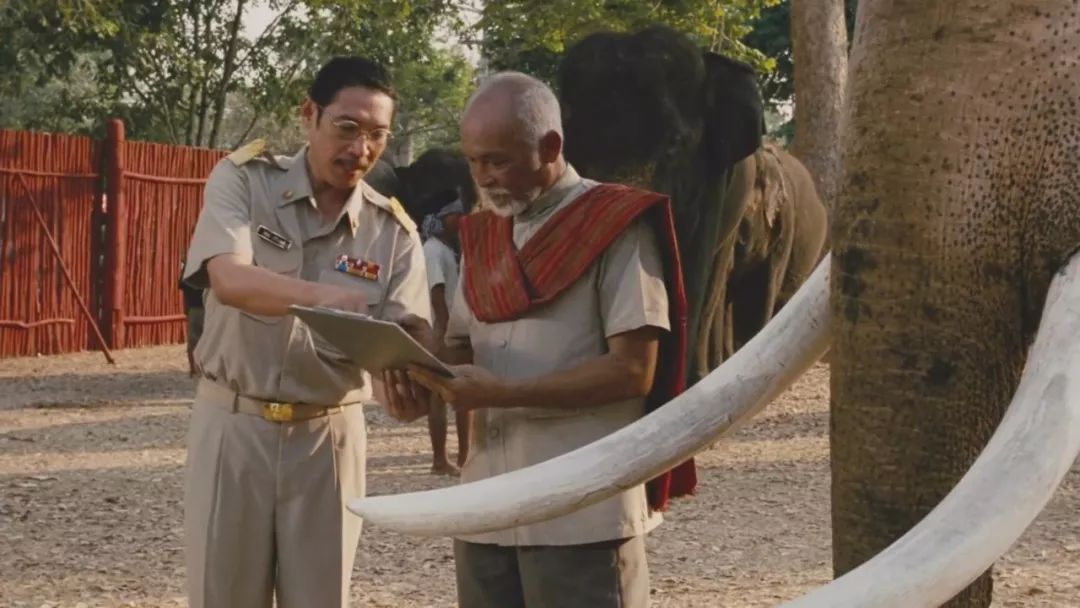 托尼贾金星初露锋芒,托尼贾金星完整视频